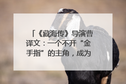 《藏海传》导演曹译文：一个不开“金手指”的主角，成为苍生守护者