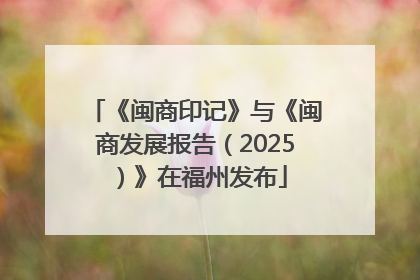 《闽商印记》与《闽商发展报告（2025）》在福州发布