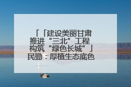 「建设美丽甘肃 推进“三北”工程 构筑“绿色长城”」民勤：厚植生态底色 筑牢绿色屏障