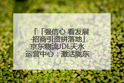「强信心 看发展·招商引资拼落地」京东物流JDL天水运营中心：激活陇东南区域经济新引擎