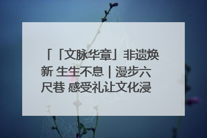 「文脉华章」非遗焕新 生生不息｜漫步六尺巷 感受礼让文化浸润的“巷”往生活