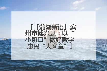 「蒲湖新语」滨州市博兴县：以“小切口”做好数字惠民“大文章”