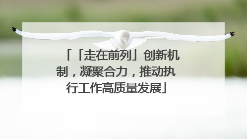 「走在前列」创新机制，凝聚合力，推动执行工作高质量发展