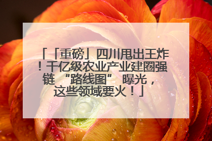 「重磅」四川甩出王炸！千亿级农业产业建圈强链 “路线图” 曝光，这些领域要火！