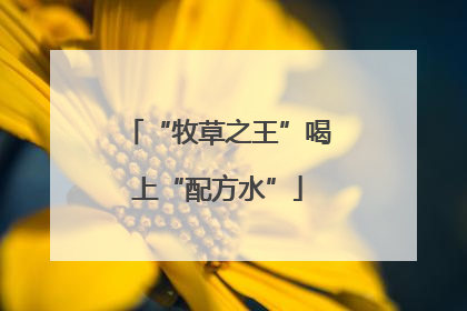 “牧草之王”喝上“配方水”