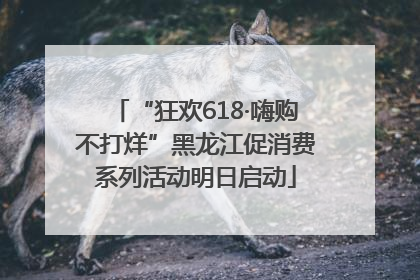 “狂欢618·嗨购不打烊”黑龙江促消费系列活动明日启动