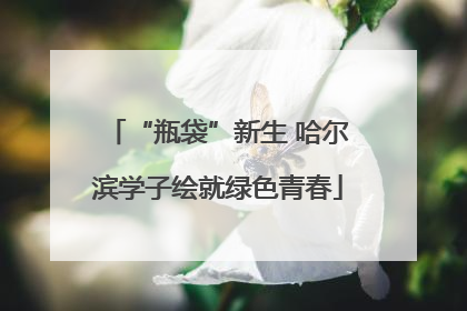 “瓶袋”新生 哈尔滨学子绘就绿色青春