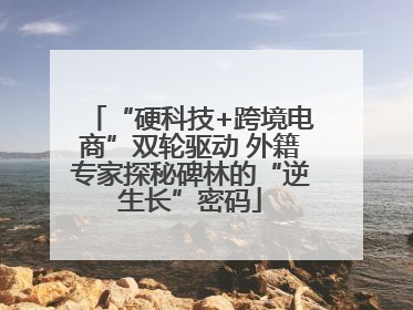 “硬科技+跨境电商”双轮驱动 外籍专家探秘碑林的“逆生长”密码