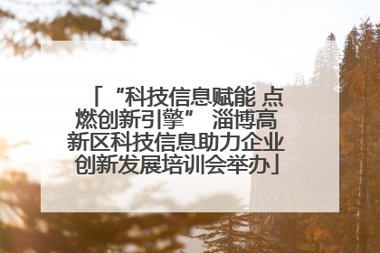 “科技信息赋能 点燃创新引擎” 淄博高新区科技信息助力企业创新发展培训会举办