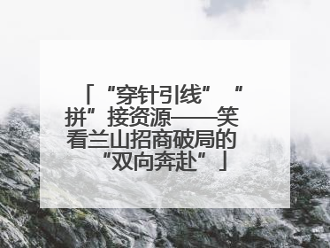 “穿针引线”“拼”接资源——笑看兰山招商破局的“双向奔赴”