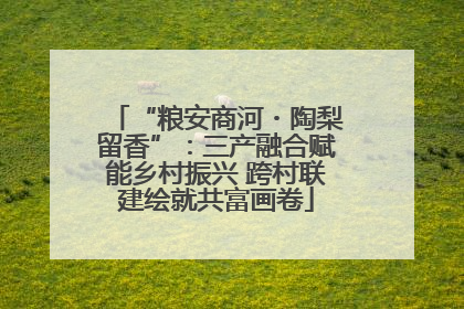 “粮安商河・陶梨留香”：三产融合赋能乡村振兴 跨村联建绘就共富画卷