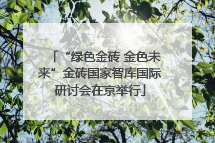 “绿色金砖 金色未来”金砖国家智库国际研讨会在京举行