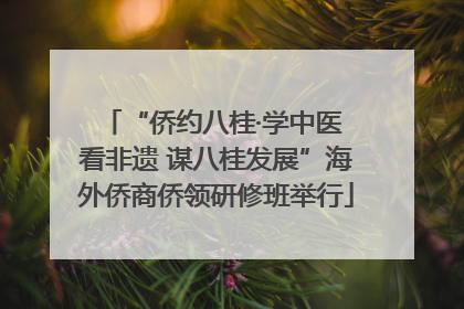 “侨约八桂·学中医 看非遗 谋八桂发展”海外侨商侨领研修班举行