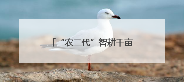 “农二代”智耕千亩地｜田野上的90后