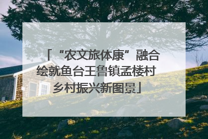“农文旅体康”融合绘就鱼台王鲁镇孟楼村乡村振兴新图景
