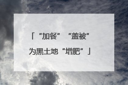 “加餐”“盖被” 为黑土地“增肥”