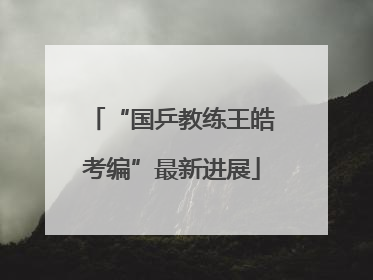 “国乒教练王皓考编”最新进展