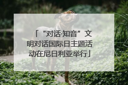 “对话·知音”文明对话国际日主题活动在尼日利亚举行