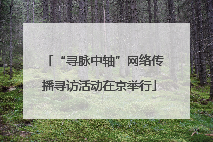 “寻脉中轴”网络传播寻访活动在京举行