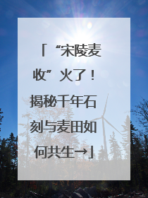 “宋陵麦收”火了！揭秘千年石刻与麦田如何共生→