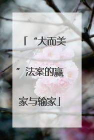 “大而美”法案的赢家与输家