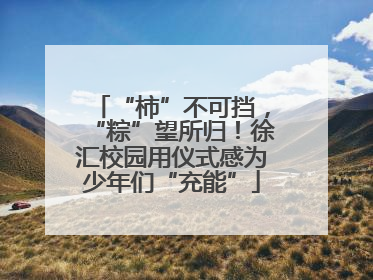 “柿”不可挡，“粽”望所归！徐汇校园用仪式感为少年们“充能”