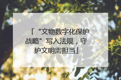 “文物数字化保护战略”写入法规，守护文明需担当