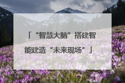 “智慧大脑”搭建智能建造“未来现场”