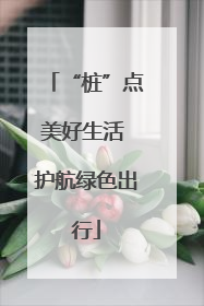 “桩”点美好生活 护航绿色出行