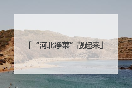 “河北净菜”靓起来