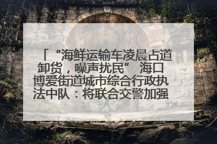 “海鲜运输车凌晨占道卸货，噪声扰民” 海口博爱街道城市综合行政执法中队：将联合交警加强长堤路一带巡逻