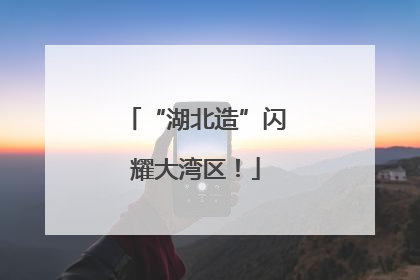 “湖北造”闪耀大湾区！