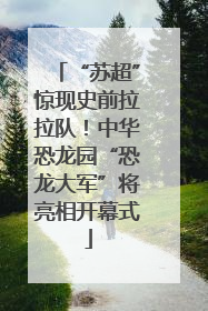“苏超”惊现史前拉拉队！中华恐龙园“恐龙大军”将亮相开幕式