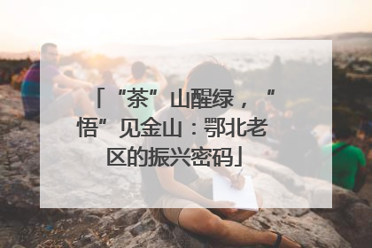 “茶”山醒绿，“悟”见金山：鄂北老区的振兴密码