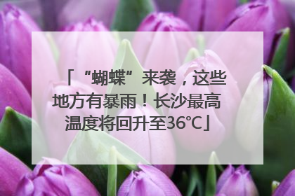 “蝴蝶”来袭，这些地方有暴雨！长沙最高温度将回升至36℃