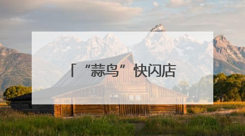“蒜鸟”快闪店空降，市民争相集齐“蒜鸟家族”