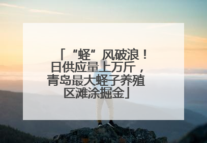 “蛏”风破浪！日供应量上万斤，青岛最大蛏子养殖区滩涂掘金
