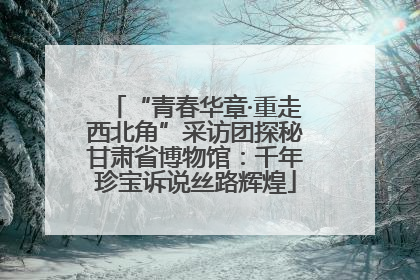 “青春华章·重走西北角”采访团探秘甘肃省博物馆：千年珍宝诉说丝路辉煌