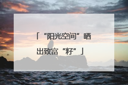 “阳光空间”晒出致富“籽”