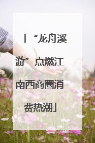 “龙舟溪游”点燃江南西商圈消费热潮