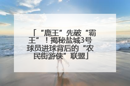 “鹿王”先破“霸王”！揭秘盐城3号球员进球背后的“农民街游侠”联盟