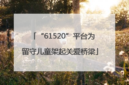 “61520”平台为留守儿童架起关爱桥梁