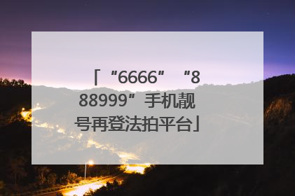 “6666”“888999”手机靓号再登法拍平台