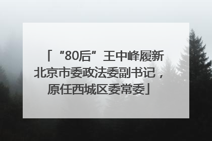 “80后”王中峰履新北京市委政法委副书记，原任西城区委常委