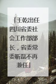 王乾出任四川省委社会工作部部长，省委常委靳磊不再兼任