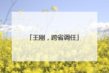 王刚，跨省调任
