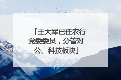 王大军已任农行党委委员，分管对公、科技板块