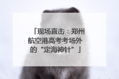 现场直击：郑州航空港高考考场外的“定海神针”