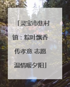 灵宝市焦村镇：粽叶飘香传孝意 志愿温情暖夕阳