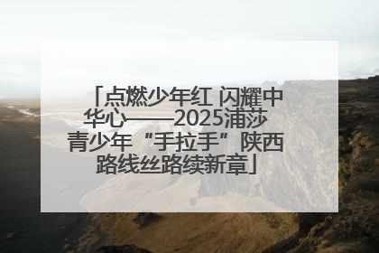 点燃少年红 闪耀中华心——2025浦莎青少年“手拉手”陕西路线丝路续新章
